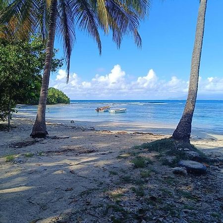 T1 Bis A Proximite De La Plage Le Gosier  Kültér fotó